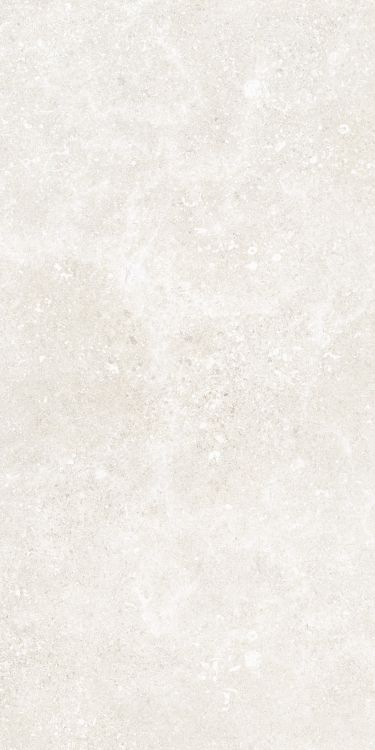 Untamed Wander White 12 x 24